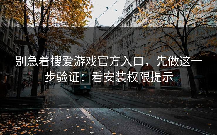 别急着搜爱游戏官方入口，先做这一步验证：看安装权限提示